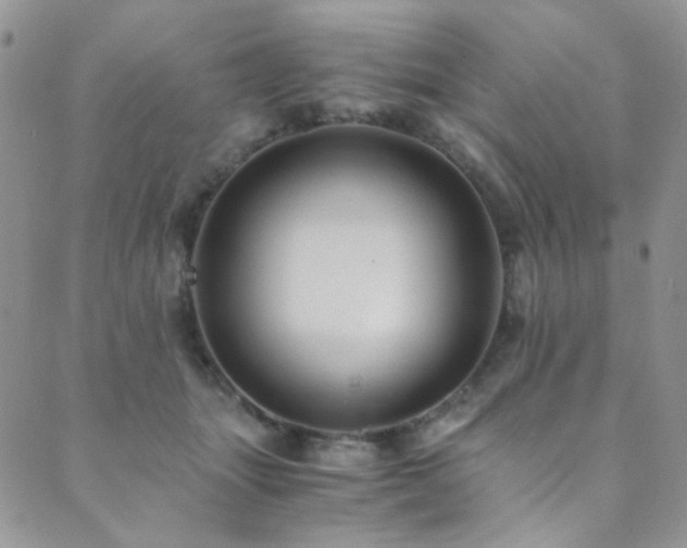 X0000089730463200706211438