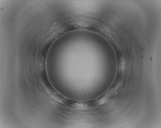 X0000089730464200706211438