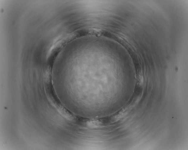X0000089730468200706211438