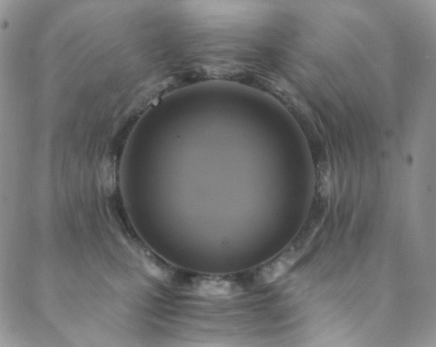 X0000089730471200706211438