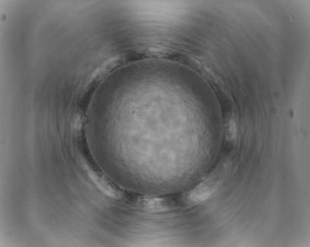X0000089730472200706211438