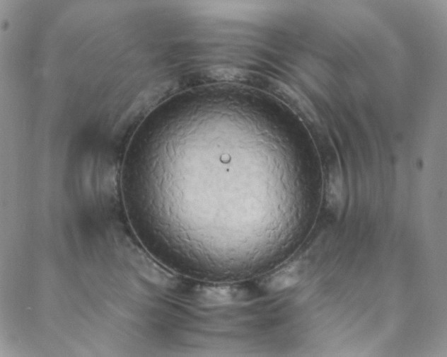 X0000089730473200706211438
