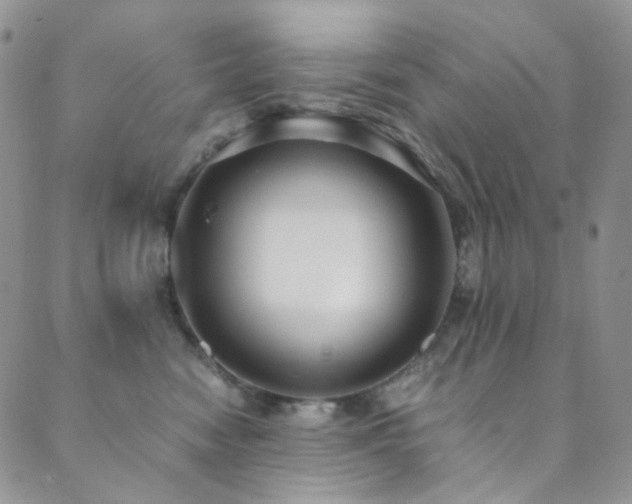 X0000089730474200706211438