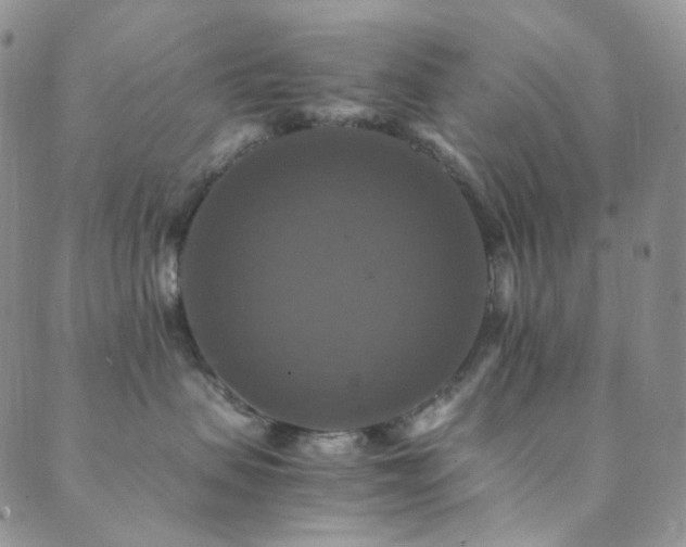 X0000089730479200706211438
