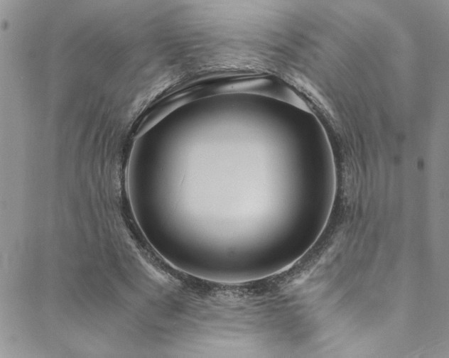 X0000089730489200706211437