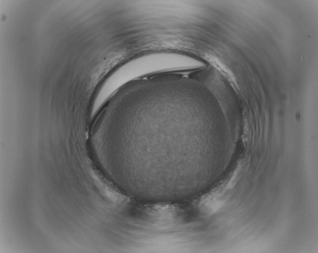 X0000089730493200706211437