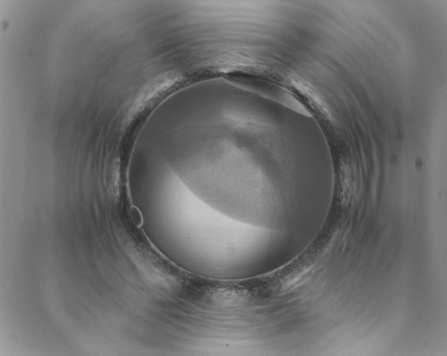 X0000089730494200706211437