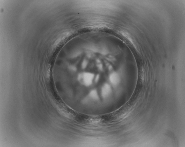 X0000089730495200706211437