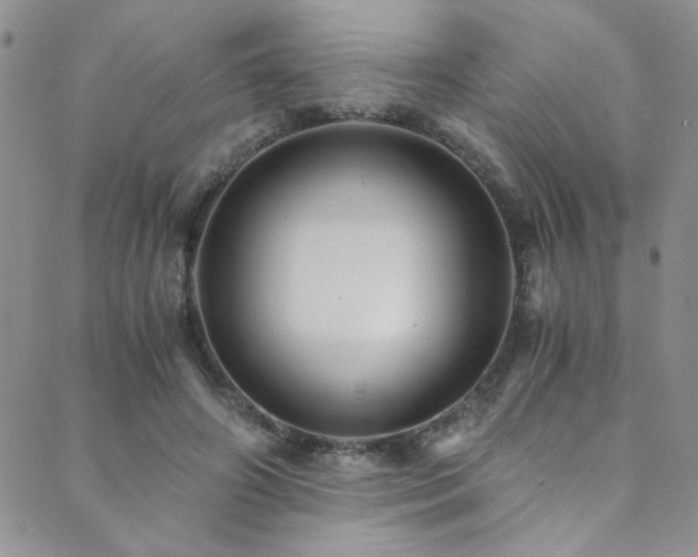 X0000089730498200706211437