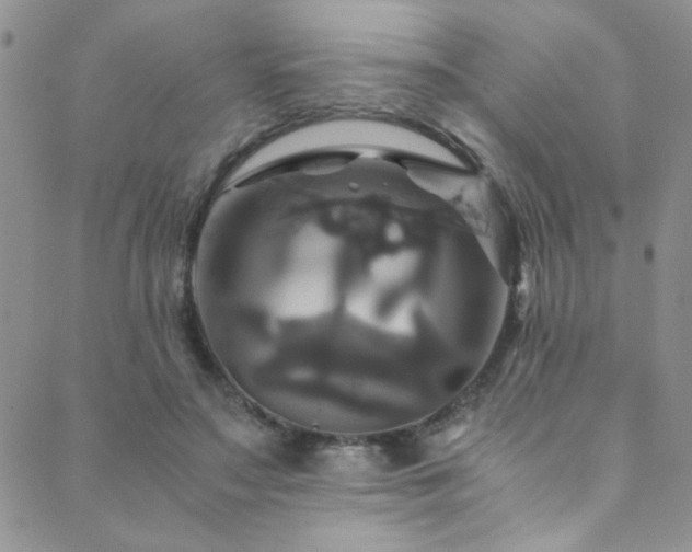 X0000089730499200706211437