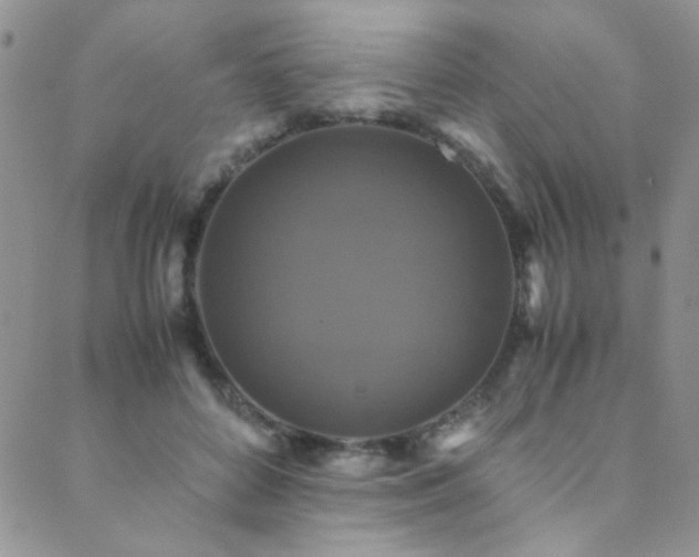 X0000089730504200706211437