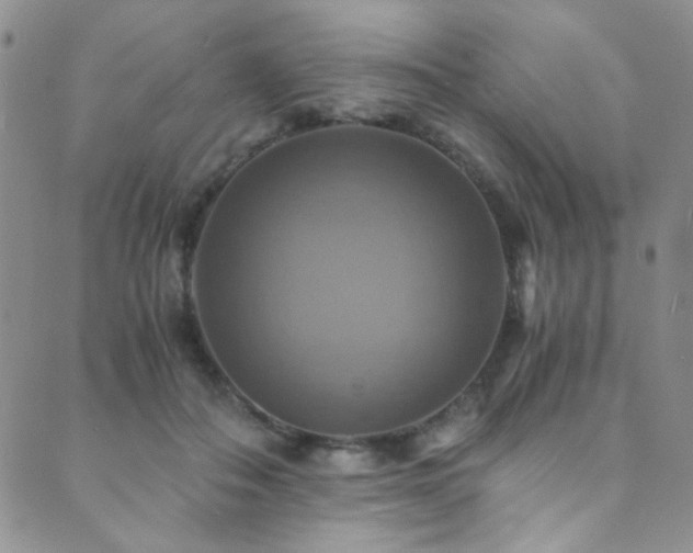 X0000089730506200706211437