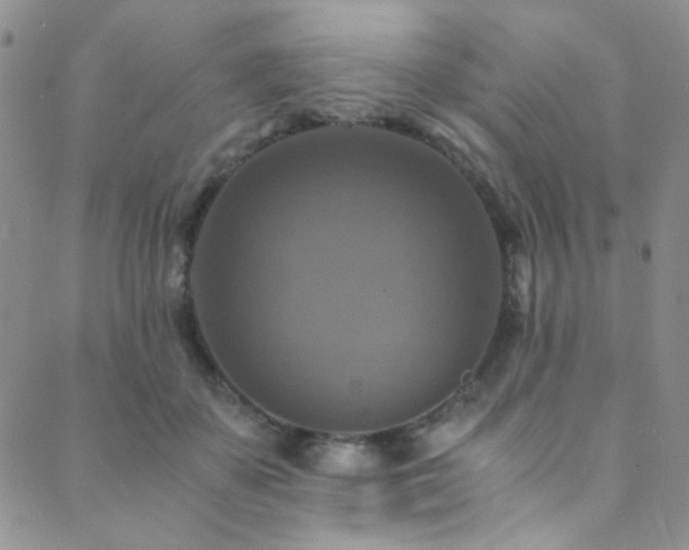 X0000089730507200706211437