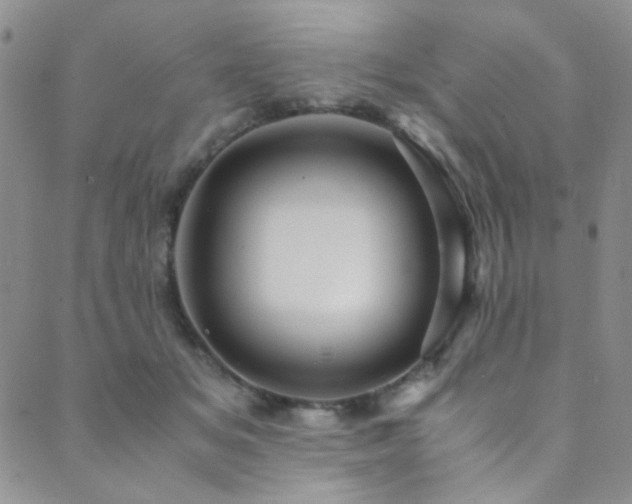 X0000089730509200706211437