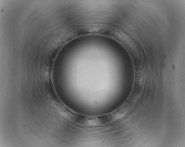 X0000089730510200706211437