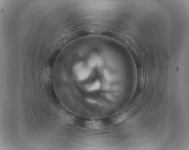 X0000089730511200706211437