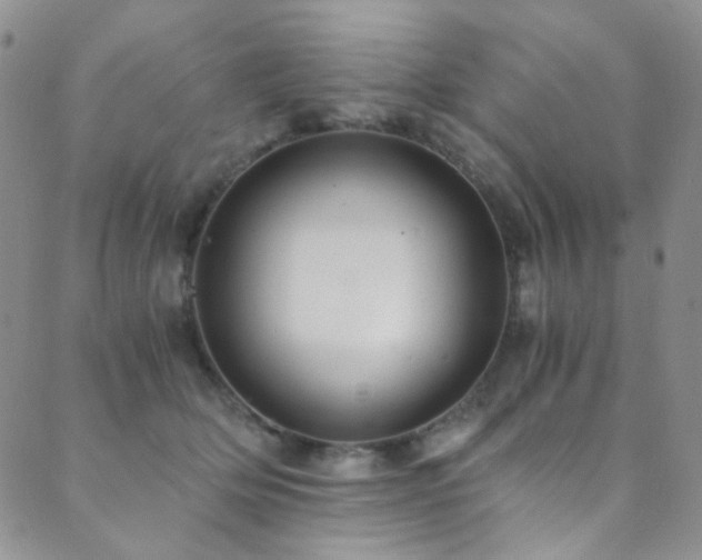 X0000089730514200706211437