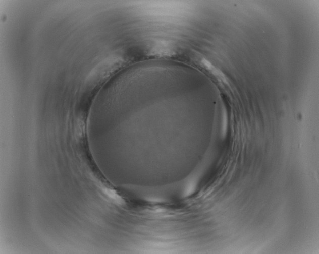 X0000089730517200706211437