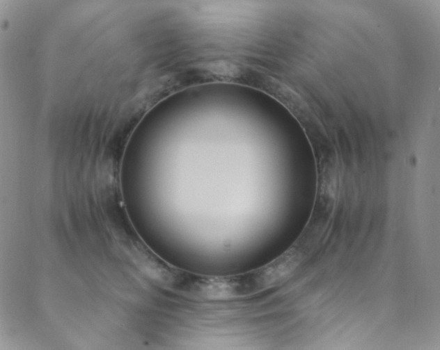 X0000089730518200706211437