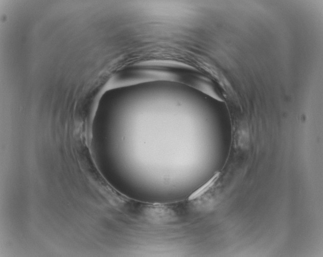 X0000089730521200706211437