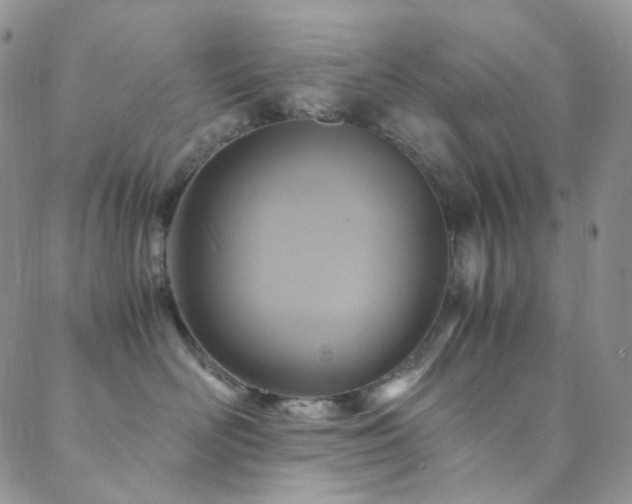 X0000089730526200706211437
