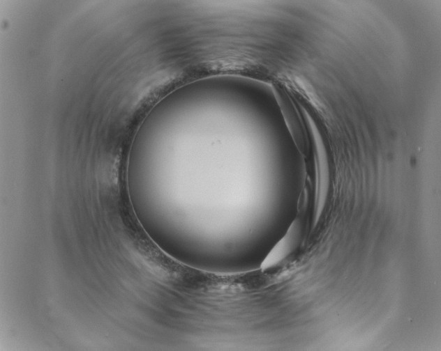 X0000089730543200706211436
