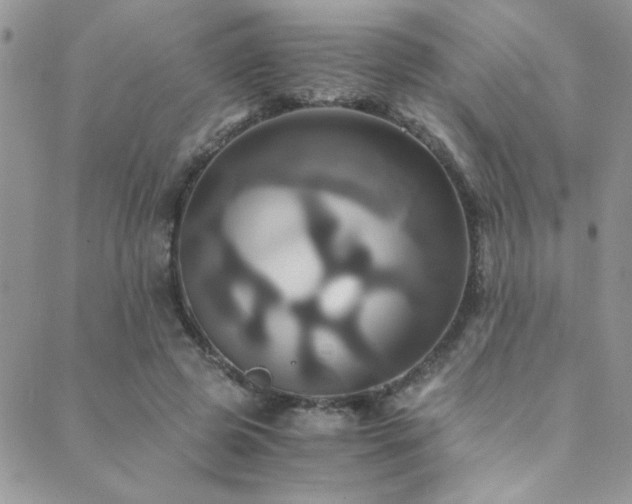 X0000089730545200706211436