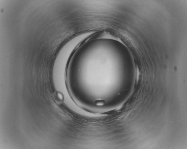 X0000089730546200706211436