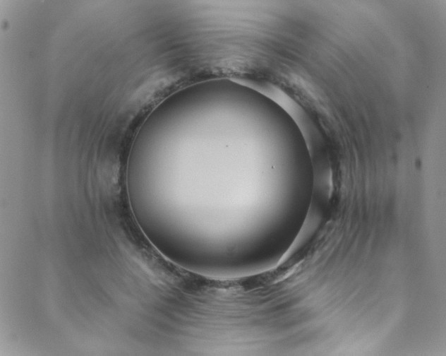 X0000089730548200706211436