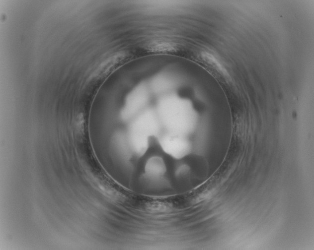X0000089730549200706211436