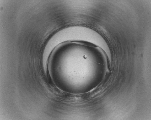 X0000089730552200706211436