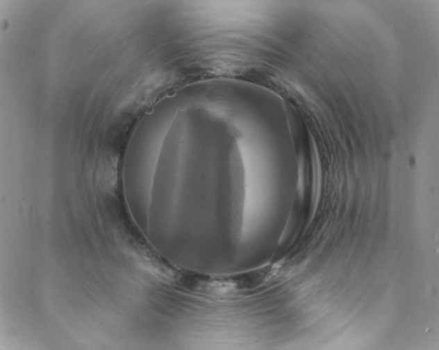 X0000089730554200706211436