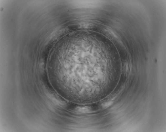 X0000089730557200706211436