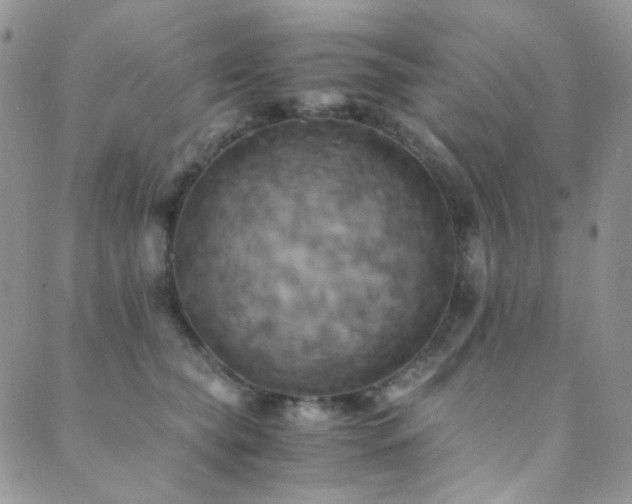 X0000089730565200706211436