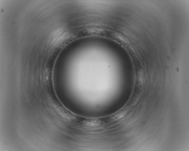 X0000089730567200706211436