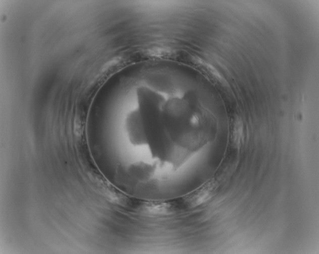 X0000089730569200706211436