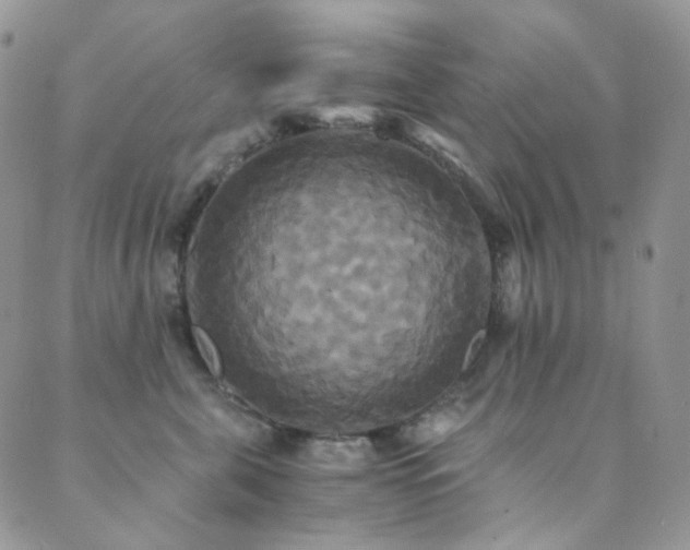 X0000089730571200706211436