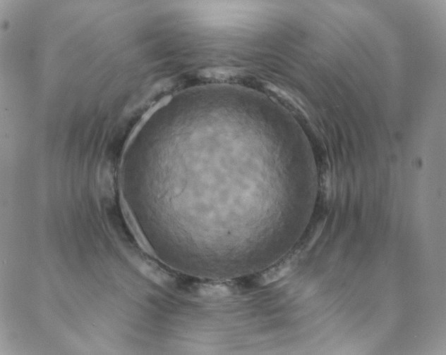 X0000089730572200706211436