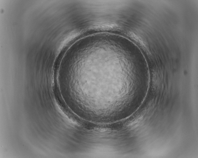 X0000089730582200706211436