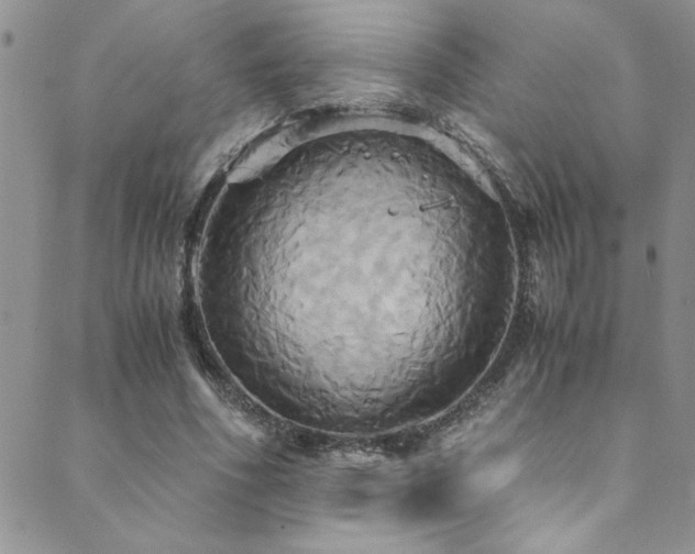 X0000089730586200706211436