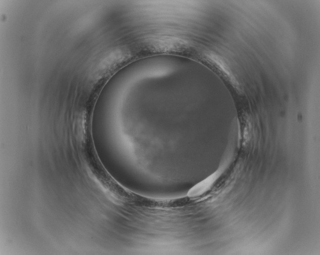 X0000089730590200706211436