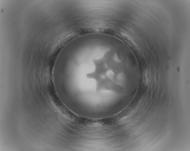 X0000089730594200706211435