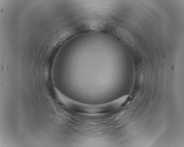 X0000089730595200706211435