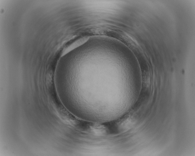 X0000089730603200706211435