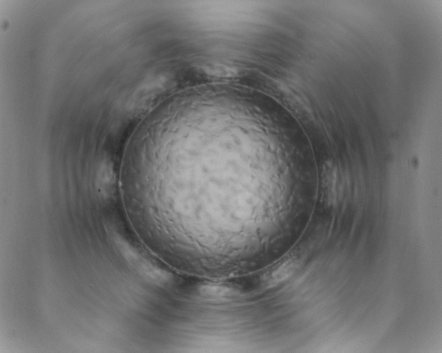 X0000089730614200706211435