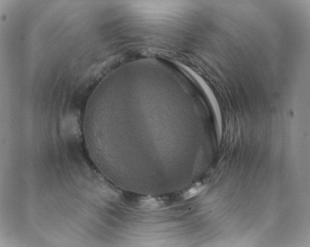 X0000089730616200706211435