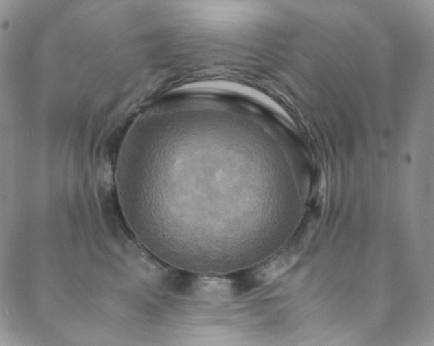 X0000089730617200706211435