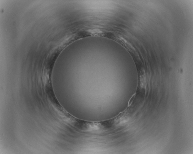 X0000089730618200706211435