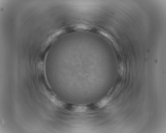 X0000089730621200706211435