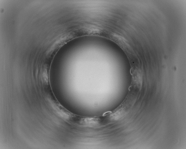 X0000089730622200706211435